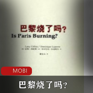 拉莱·科林斯作品《巴黎烧了吗》珍藏推荐