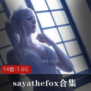 多国混血（sayathefox）2b合集